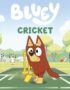 Cricket