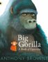 Big Gorilla