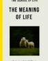 The meaning of life