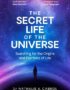The Secret Life of the Universe