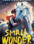 Small Wonder