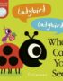 Ladybird Ladybird What Can You See?