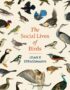 The Social Lives of Birds