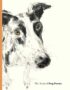 The book of dog poems