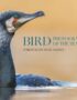 Bird Photographer of the Year. Collection 10