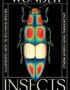 The Wonder of Insects
