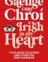 Gaeilge I Mo Chro?