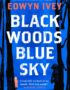 Black Woods, Blue Sky