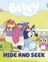 Hide and Seek