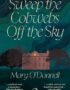 Sweep the Cobwebs Off the Sky