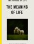 The meaning of life