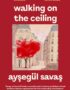 Walking on the Ceiling