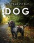 The Year of the Dog