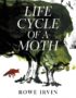 Life Cycle of a Moth